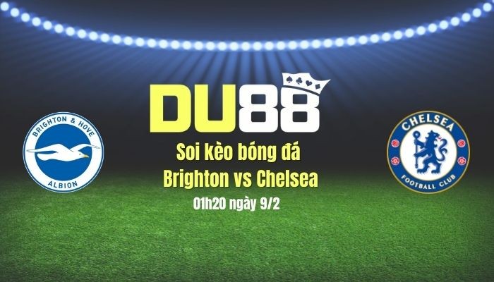 DU88 Soi kèo bóng đá Brighton vs Chelsea, 03h00 ngày 9/2: Bắn hạ Chim mòng biển